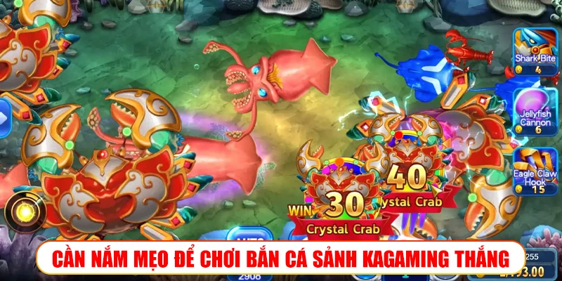 MẸO ĐỂ CHƠI BẮN CÁ SẢNH KAGAMING 