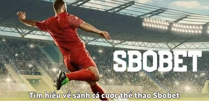 Sảnh cá cược thể thao Sbobet tại K9win – Nơi thỏa mãn đam mê sảnh cá cược thể thao Sbobet