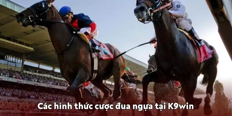 Đua ngựa K9win – Trò chơi mới lạ cho người đam mê tốc độ Các hình thức cược đua ngựa tại K9win