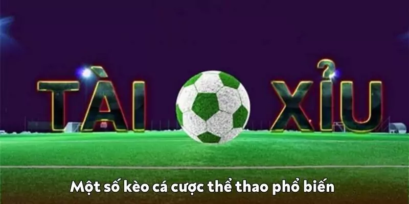 Kèo cá cược thể thao phổ biến: Làm chủ sân chơi tại K9win Một số kèo cá cược thể thao phổ biến